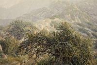 Autumn Snow, Sandias
