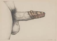 Untitled (Penis Flytrap)