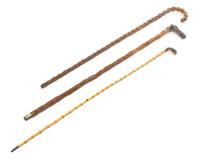 A Group of Three Canes Longest 35 1/2 inches.