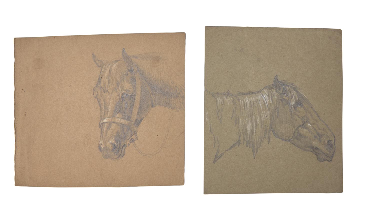 Farm Animal Studies: F older of Eighteen (18) Pencil Drawings