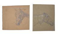 Farm Animal Studies: F older of Eighteen (18) Pencil Drawings