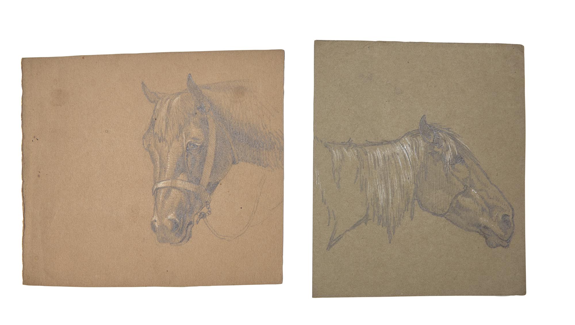 Farm Animal Studies: F older of Eighteen (18) Pencil Drawings