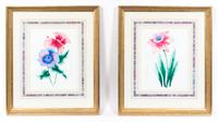 Two Watercolor Botanical Illustrations 9 3/4 x 7 1/2 (visible). — MADISON MCGEE, 20TH CENTURY