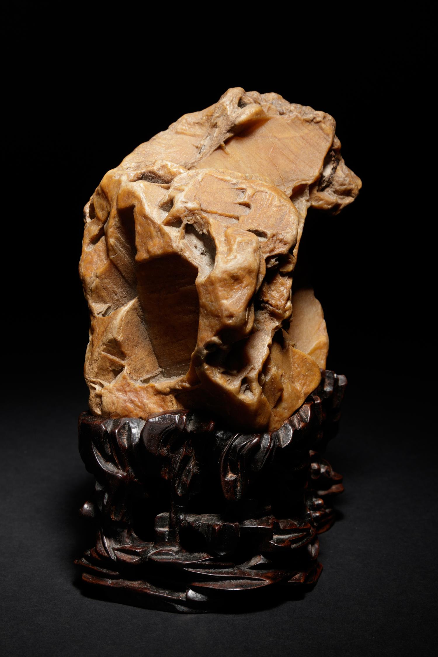 A Yellow Wax Scholar's Rock
