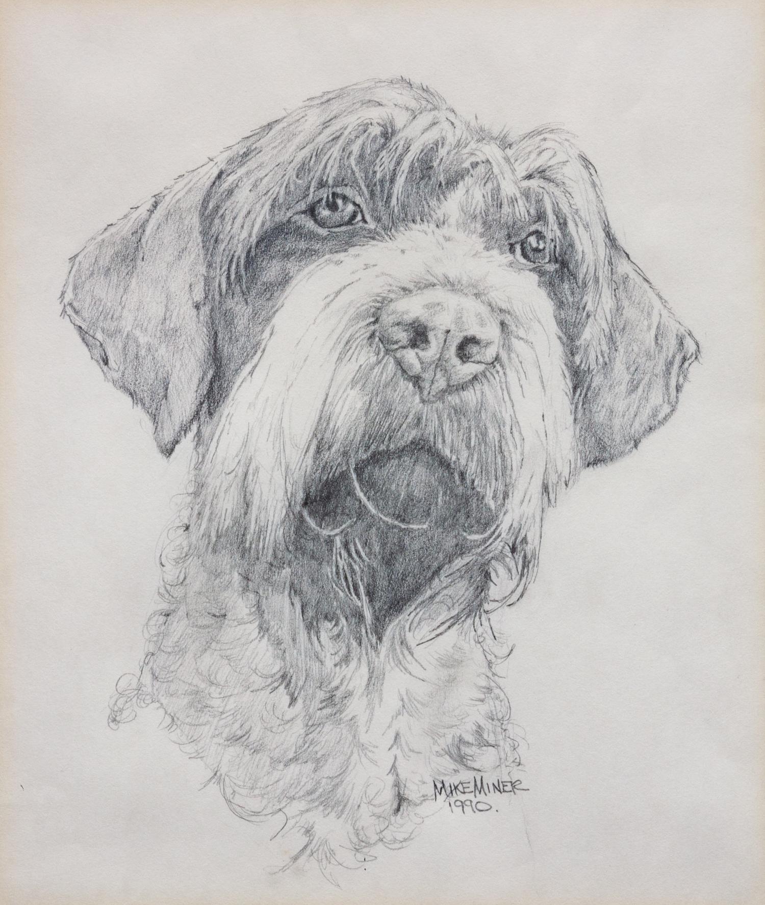 A Head Study of a Wirehaired Pointing Griffon 9 1/2 x 8 inches.