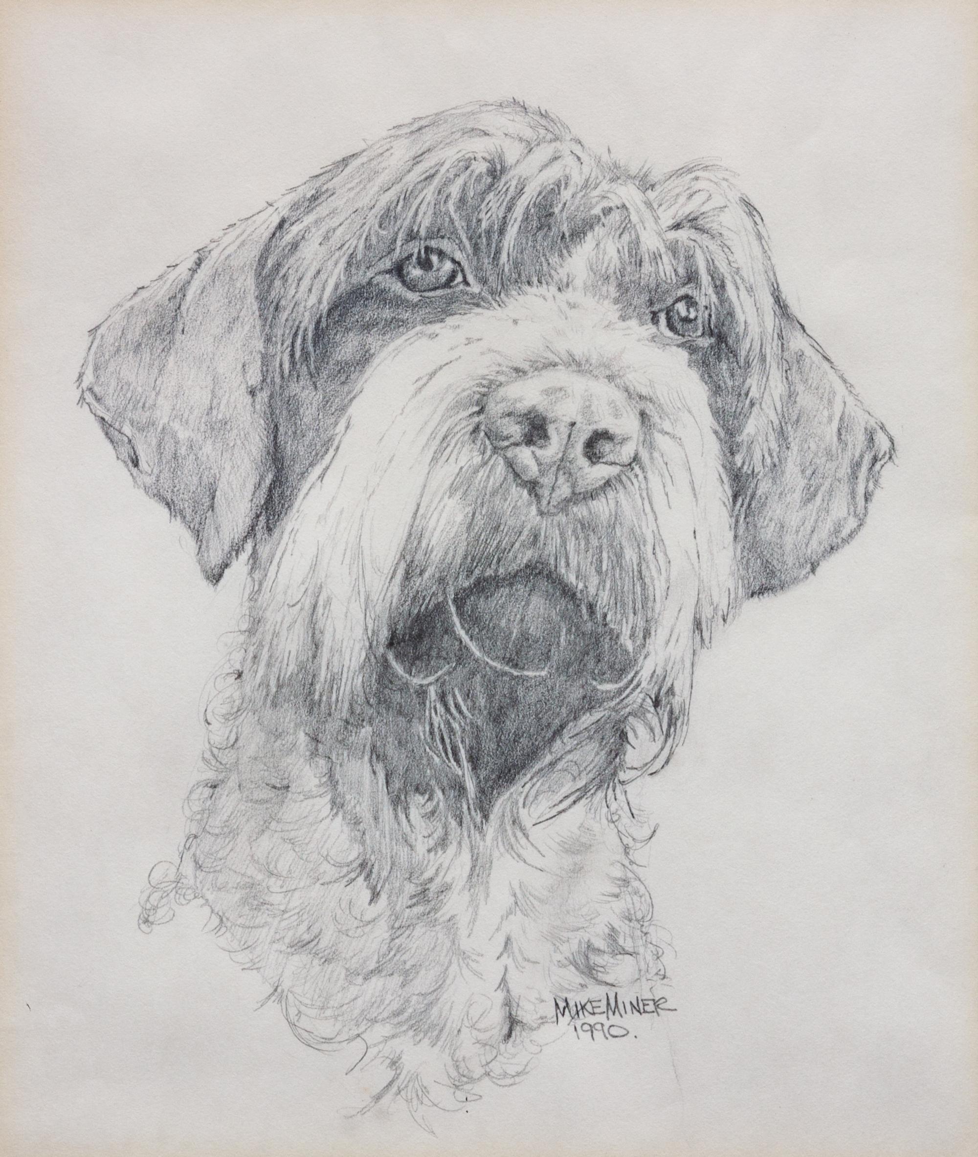A Head Study of a Wirehaired Pointing Griffon 9 1/2 x 8 inches.
