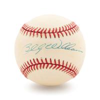 A Group of 20 Signed Hall of Fame Baseballs,