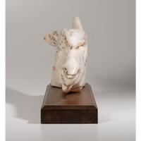 untitled, horse
