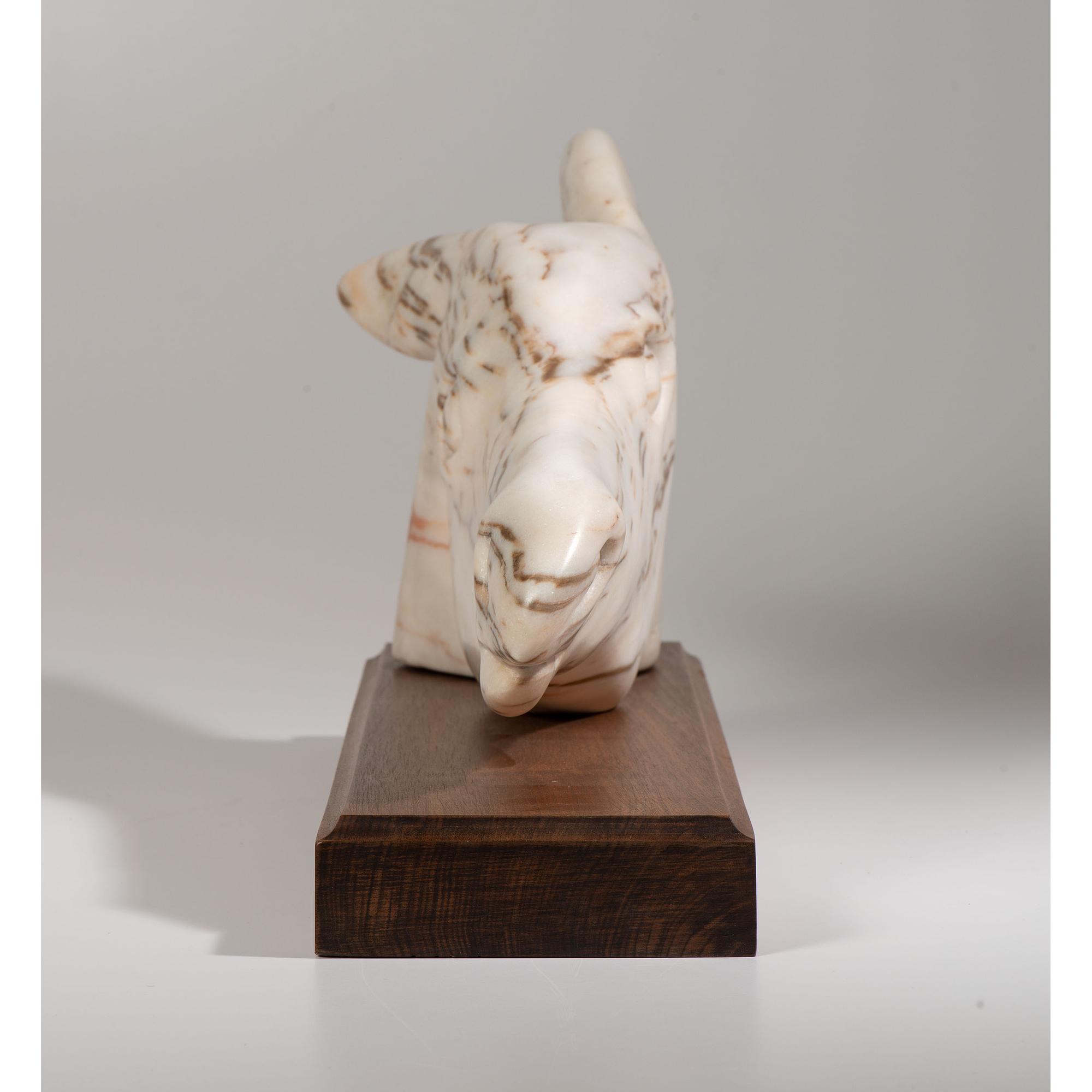 untitled, horse