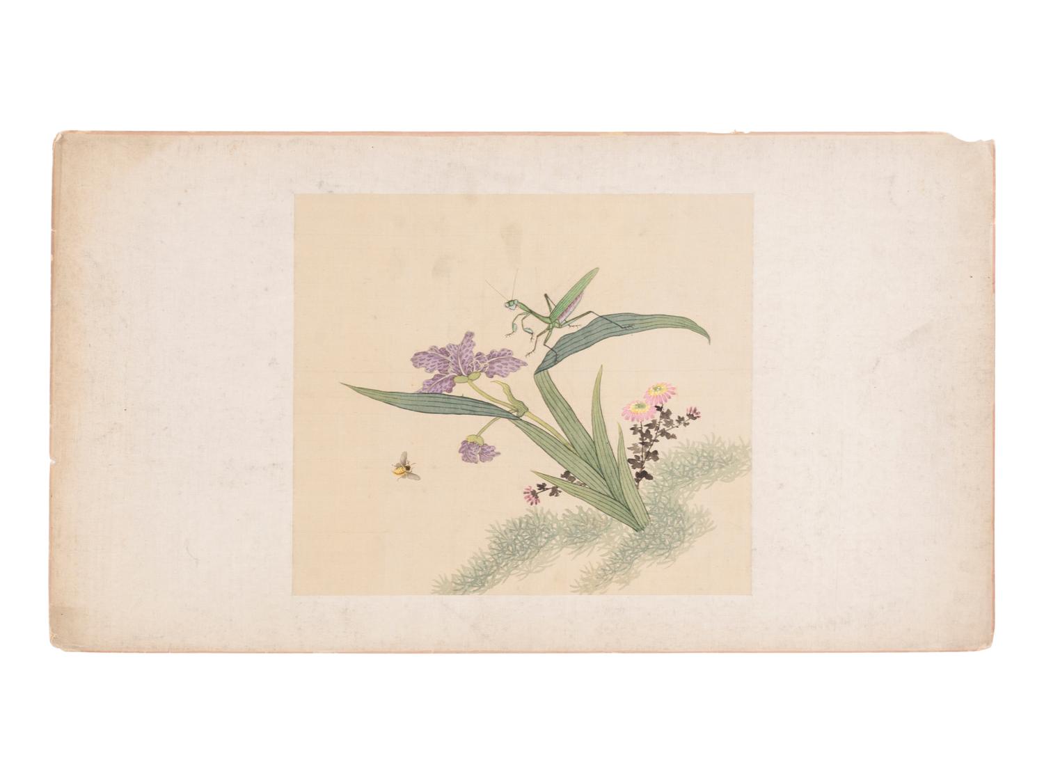 Six Chinese Paintings Depicting Flowers