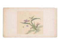 Six Chinese Paintings Depicting Flowers