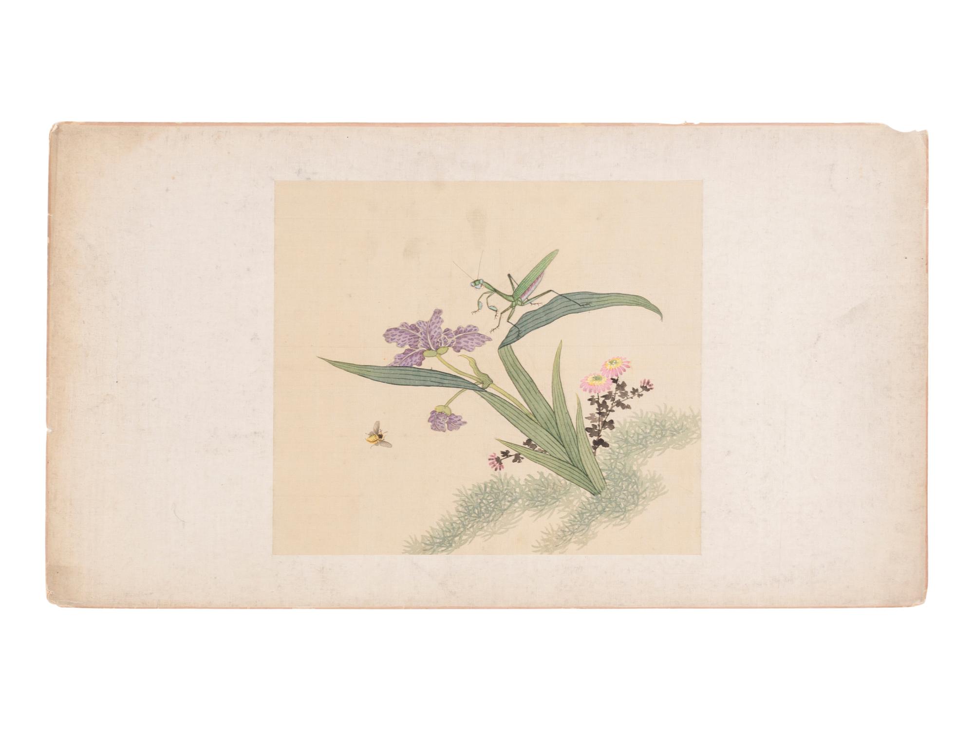 Six Chinese Paintings Depicting Flowers