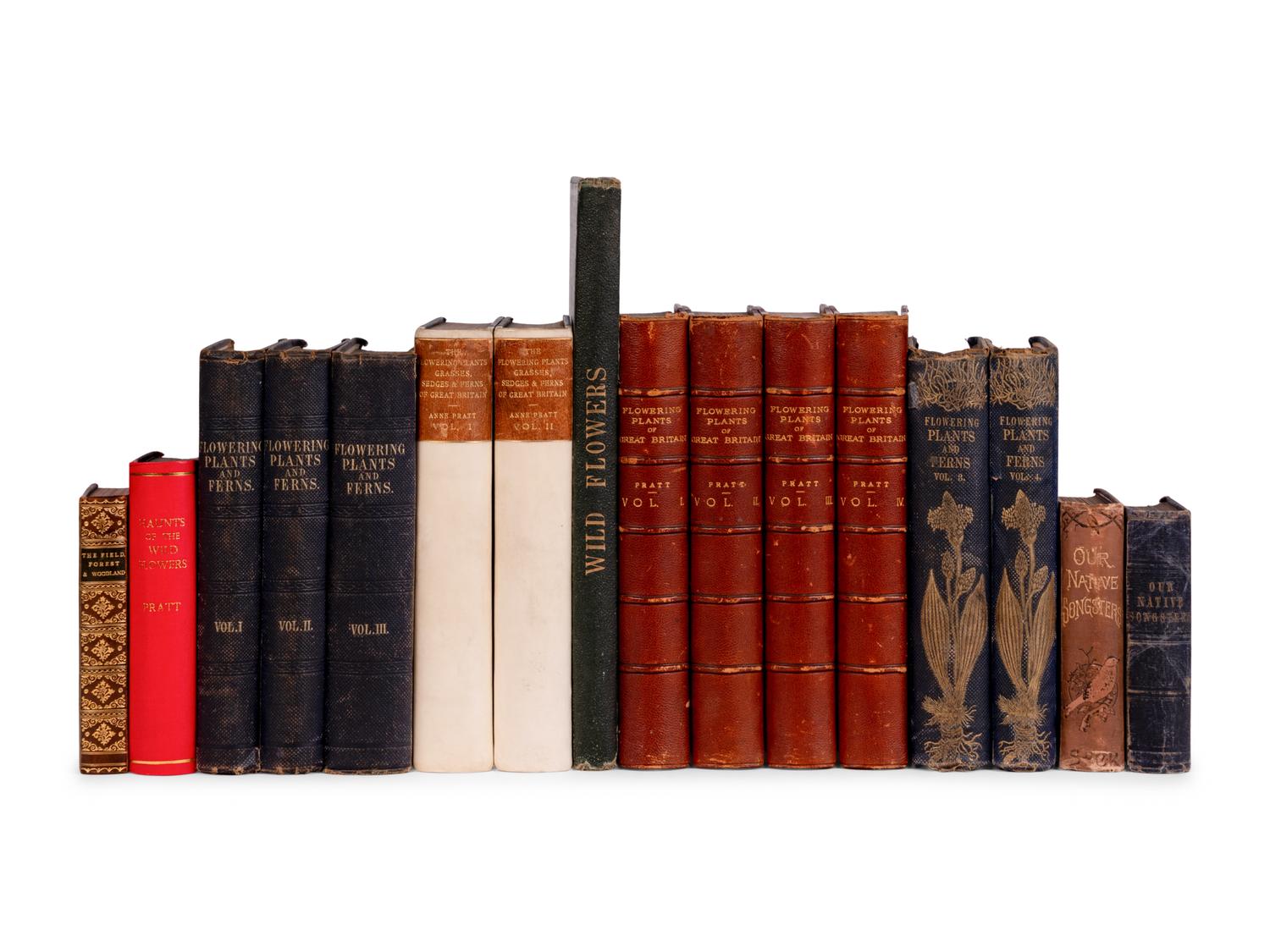 [NATURAL HISTORY]. PRATT, Anne (1806-1893). A group of works, including: