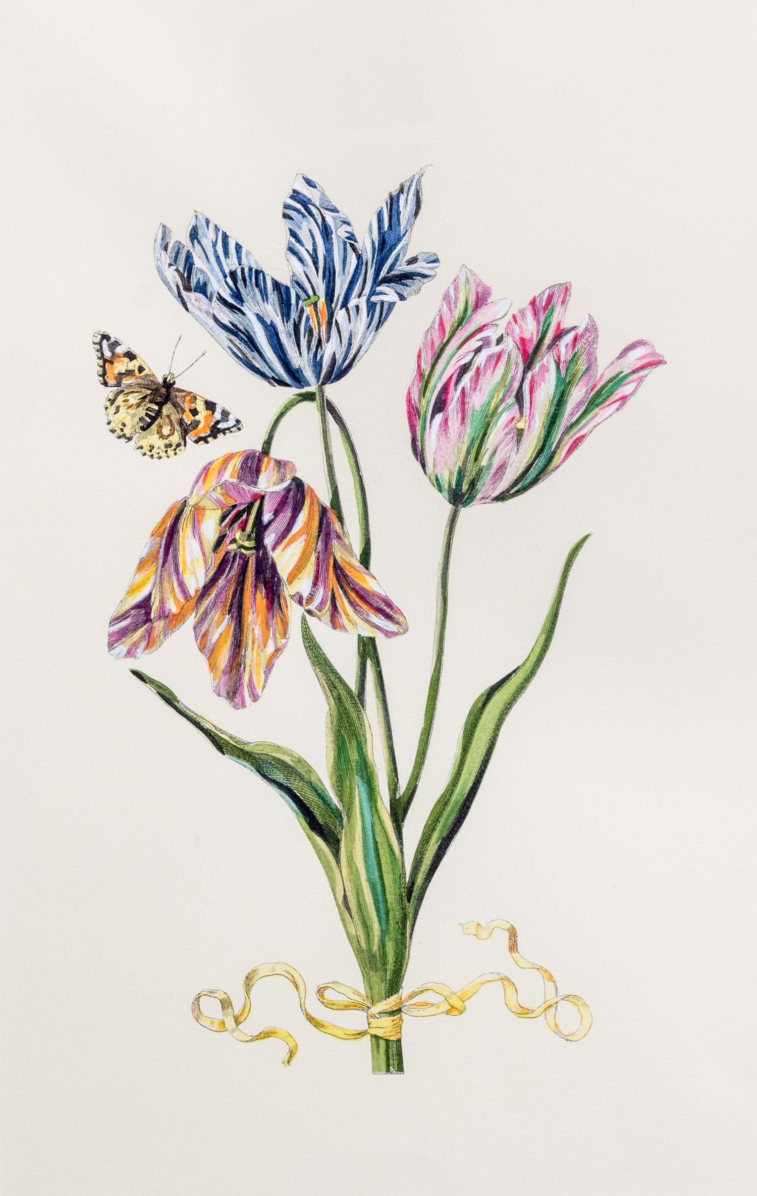 A Pair of Color Lithographs 17 x 11 inches (each).
