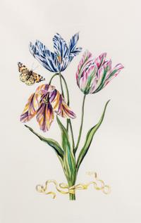 A Pair of Color Lithographs 17 x 11 inches (each).