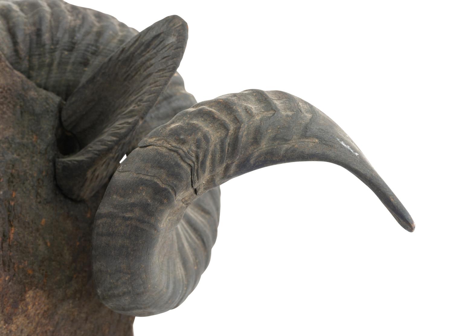 A Carved Walnut Ram's Head