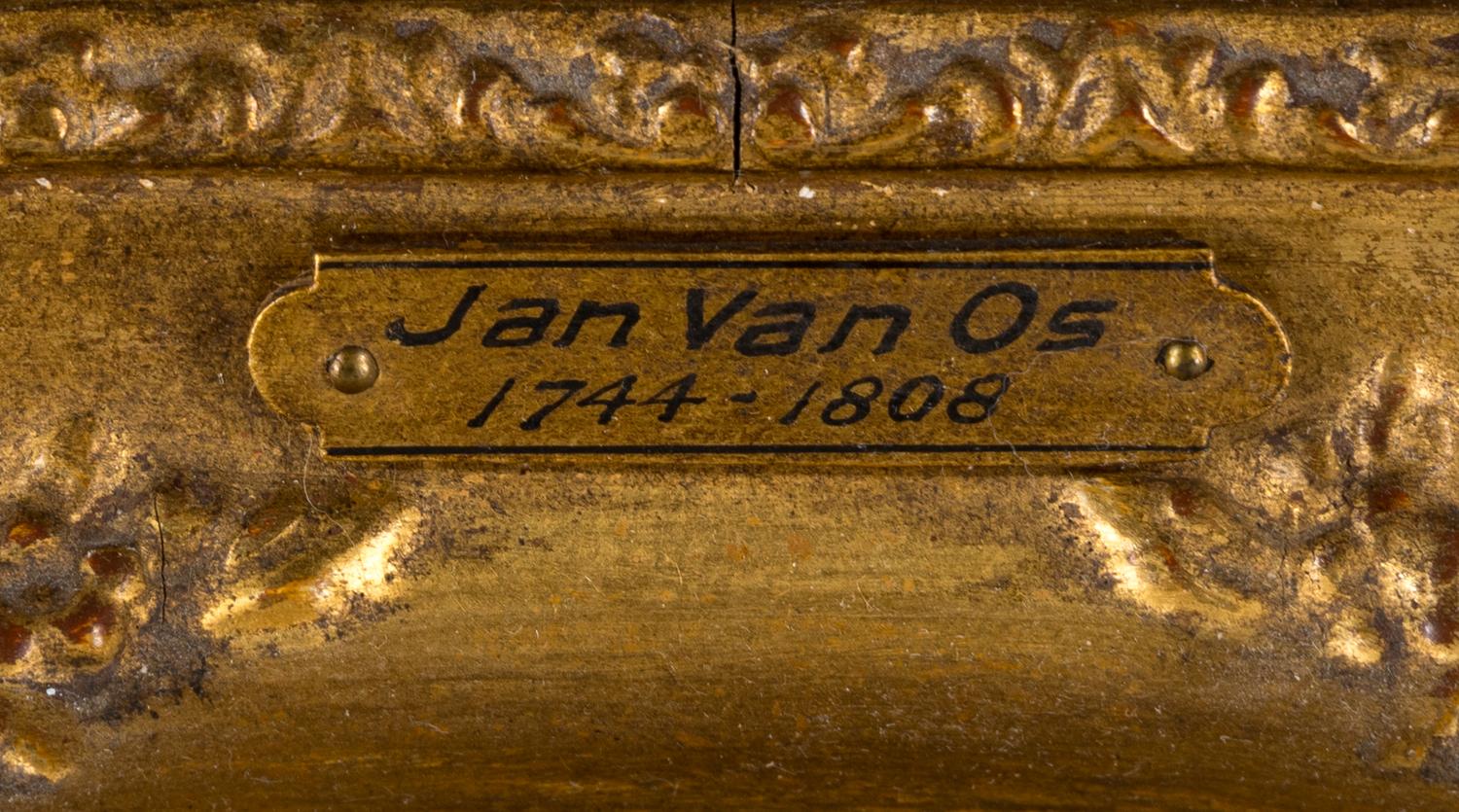 Circle of Jan Van Os, 18th Century