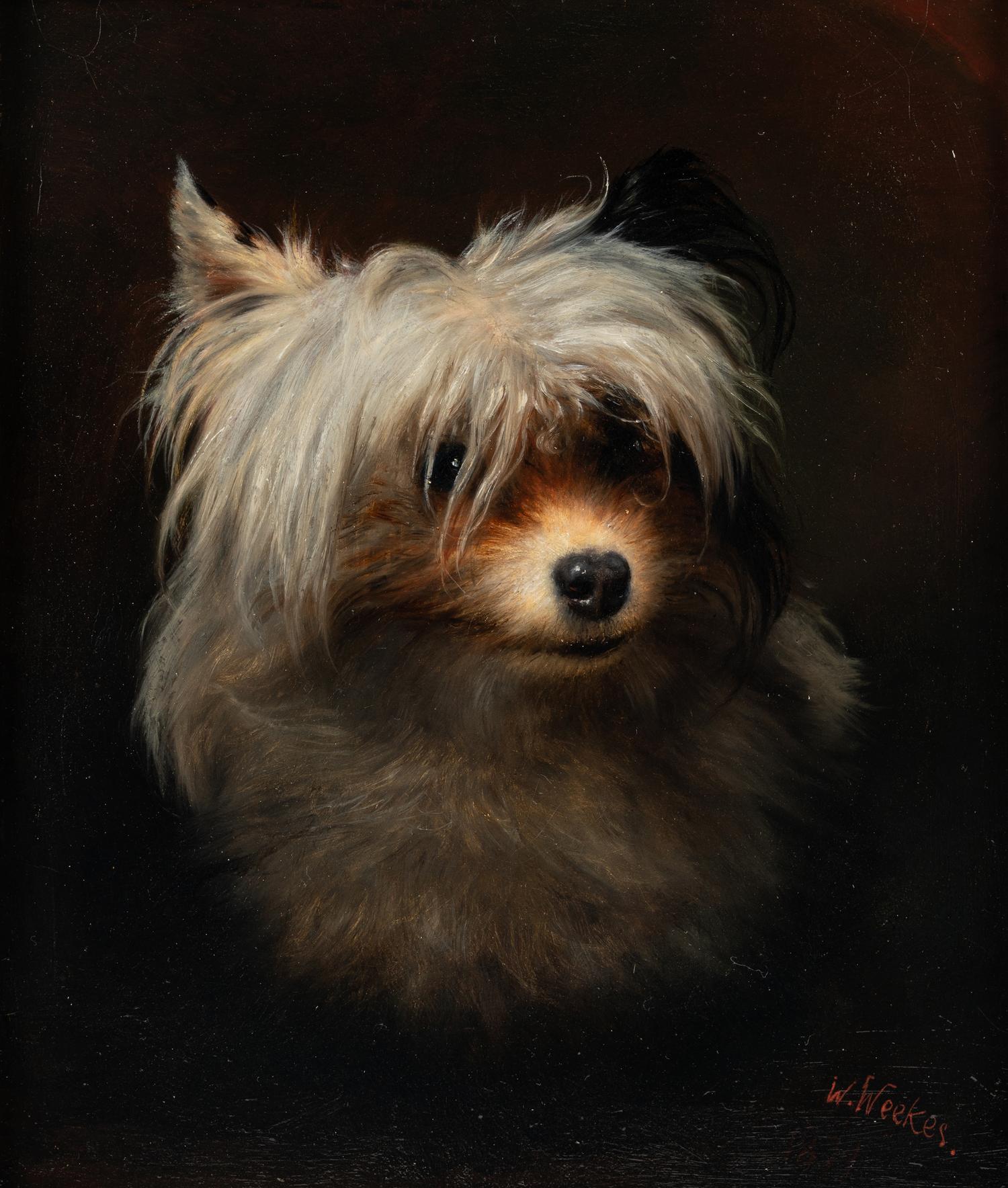 Pet Dogs (a pair of works)