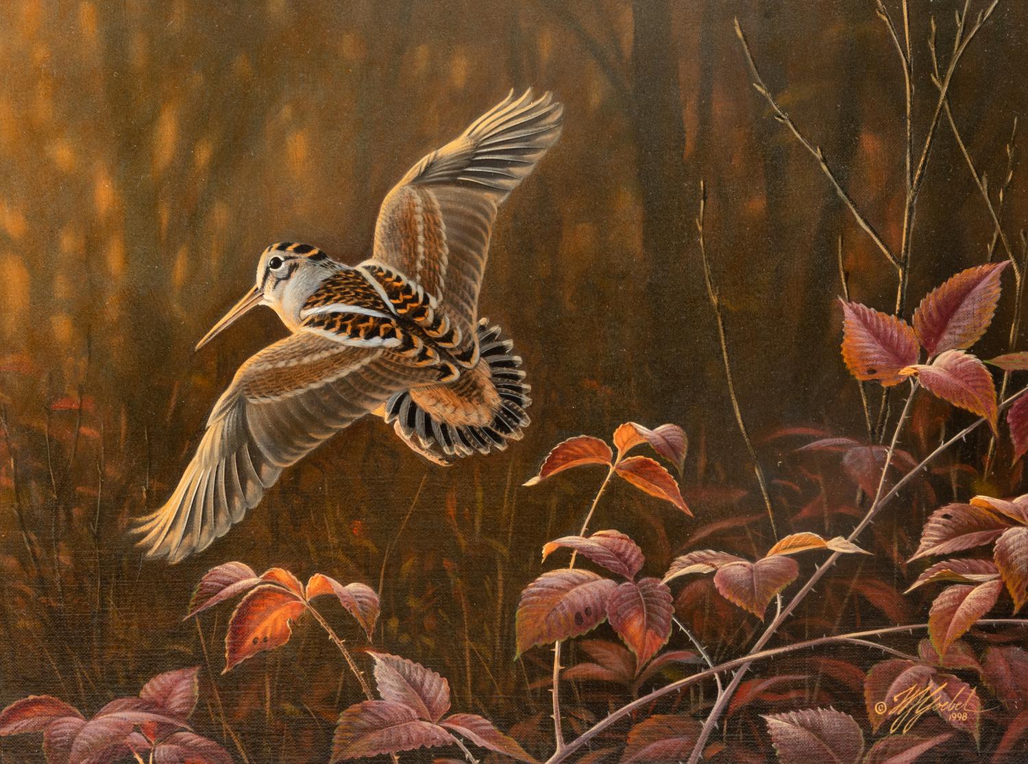 Woodcock , 1998