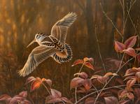 Woodcock , 1998