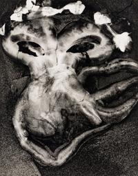 Brett Weston (1911-1993) Jellyfish, 1967