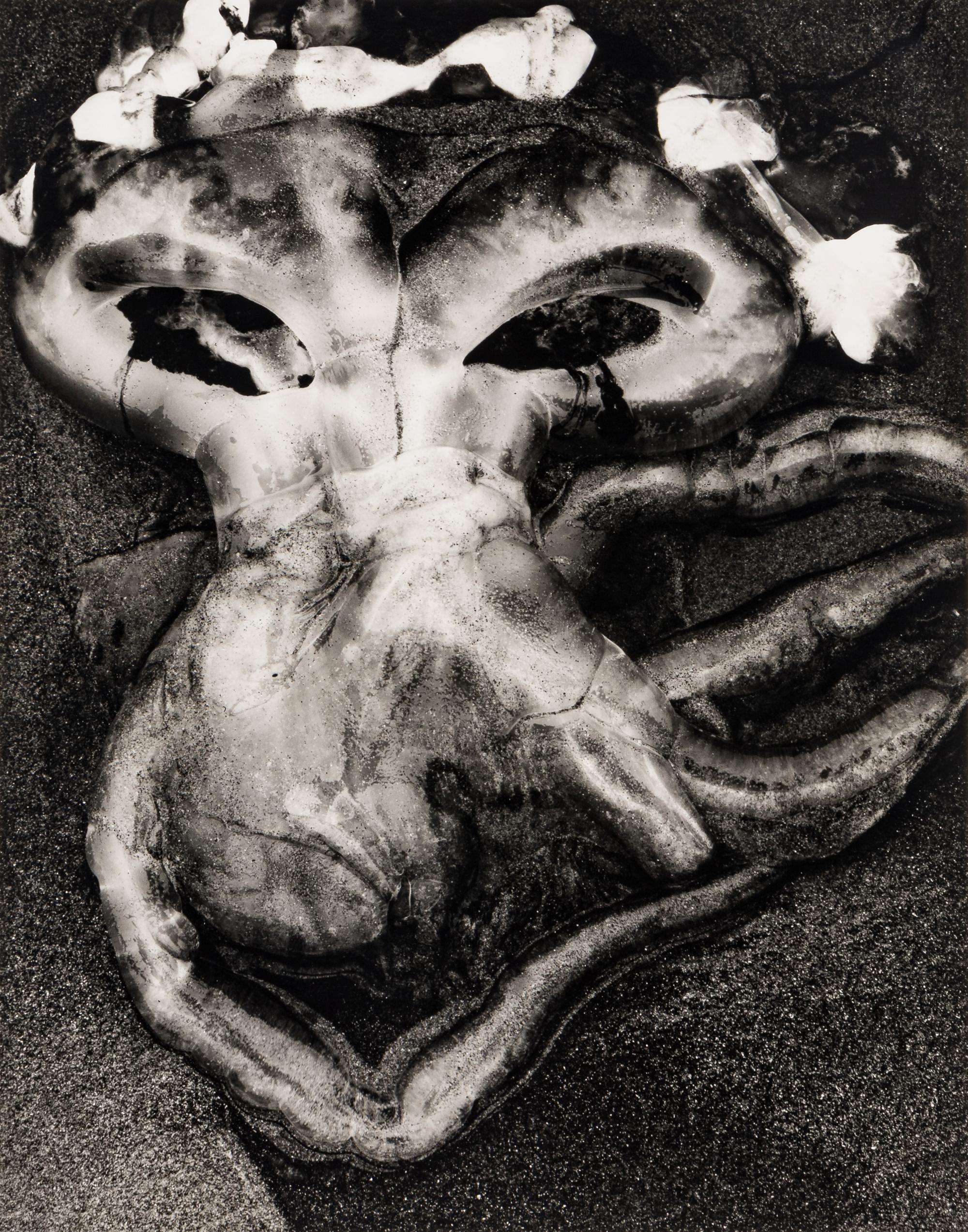 Brett Weston (1911-1993) Jellyfish, 1967