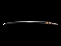A Wakizashi