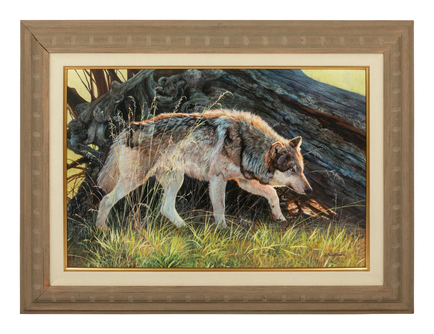 Morning Glow , 2009