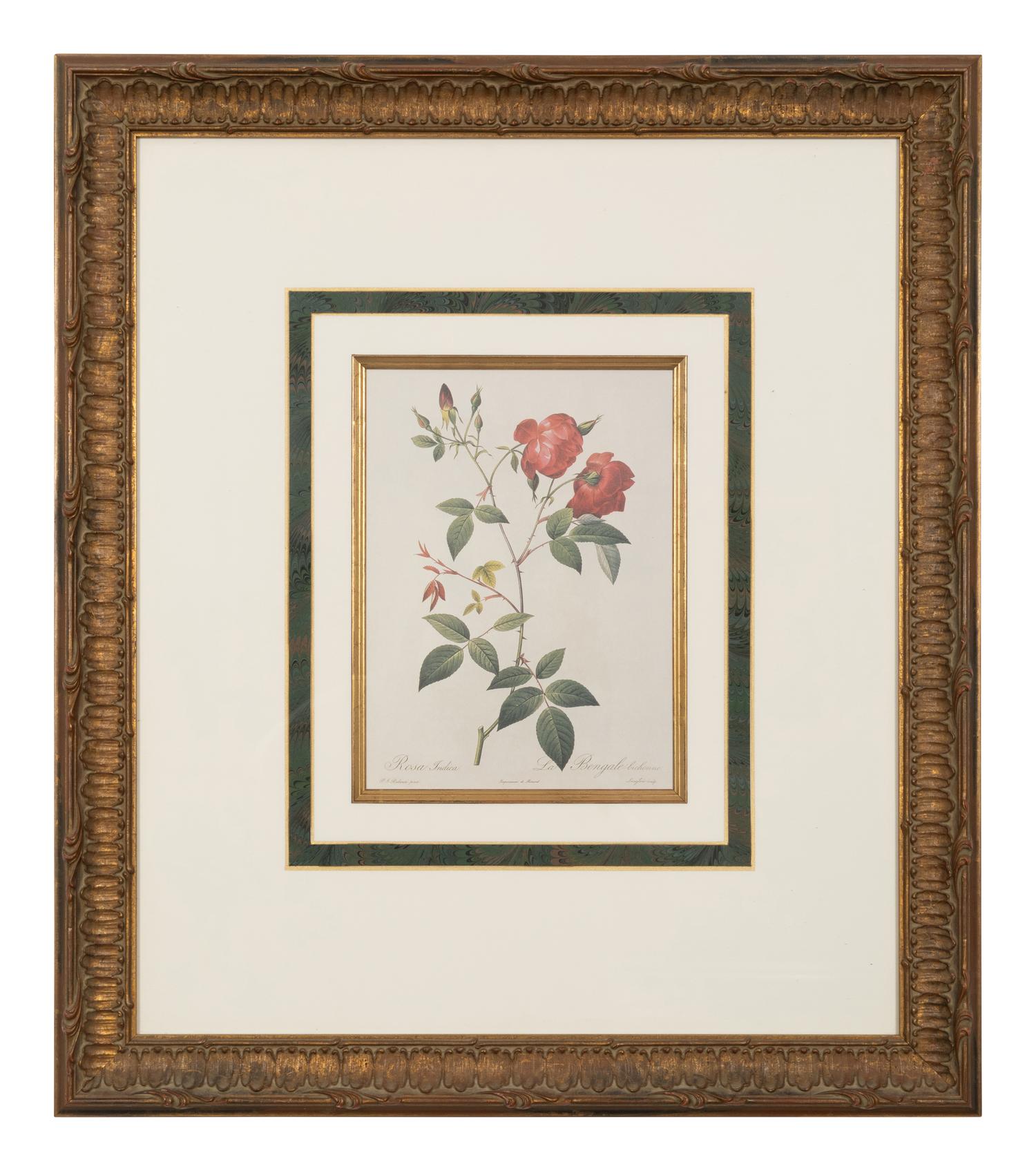 A Set of Six Chromolithographs of Roses after Pierre Joseph Redouté