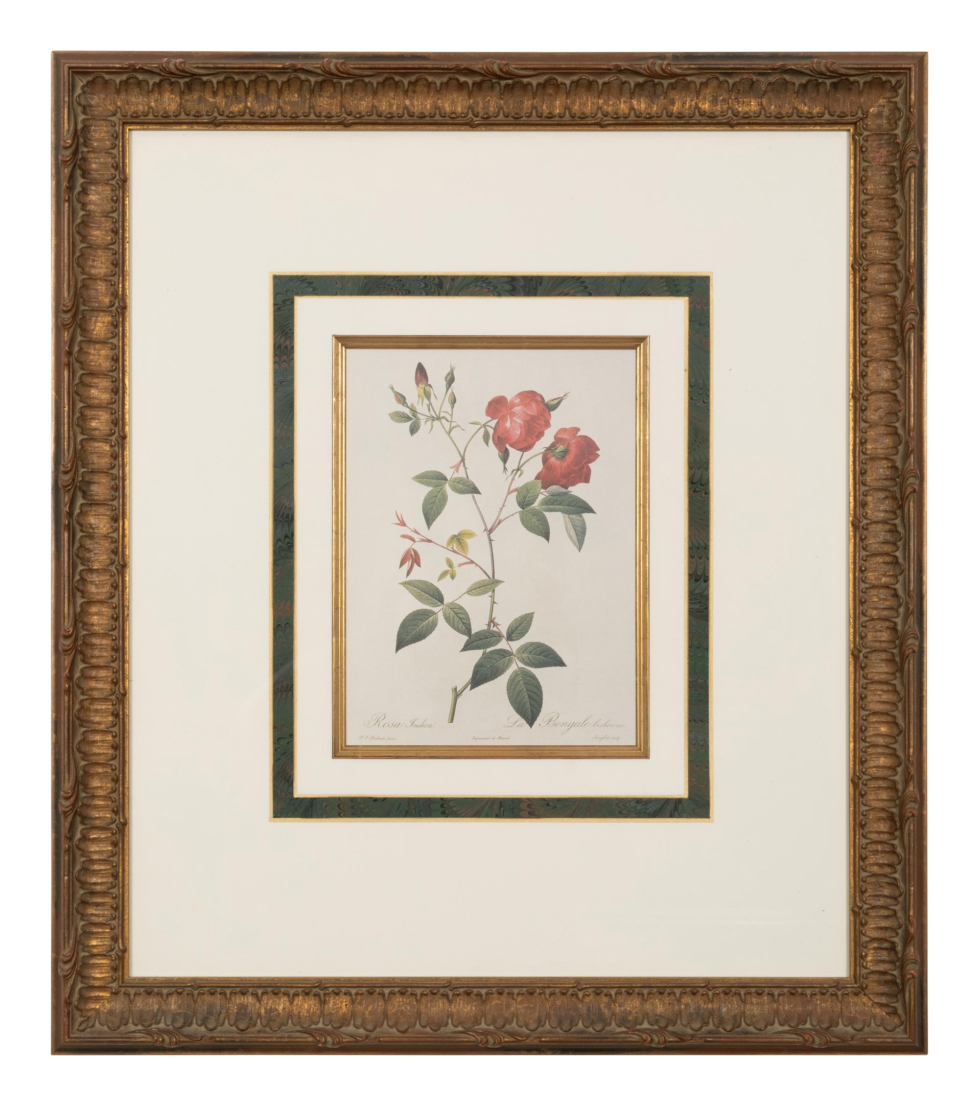 A Set of Six Chromolithographs of Roses after Pierre Joseph Redouté