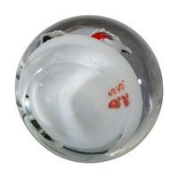 Six Floral and Figural Art Glass Paperweights