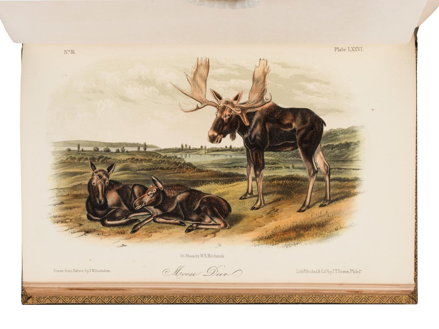 AUDUBON, John James (1785-1851) and John BACHMAN (1790-1874). The Quadrupeds of North America. New York: V.G. Audubon, 1849, 1851, 1854.