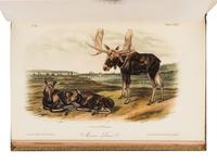AUDUBON, John James (1785-1851) and John BACHMAN (1790-1874). The Quadrupeds of North America. New York: V.G. Audubon, 1849, 1851, 1854.