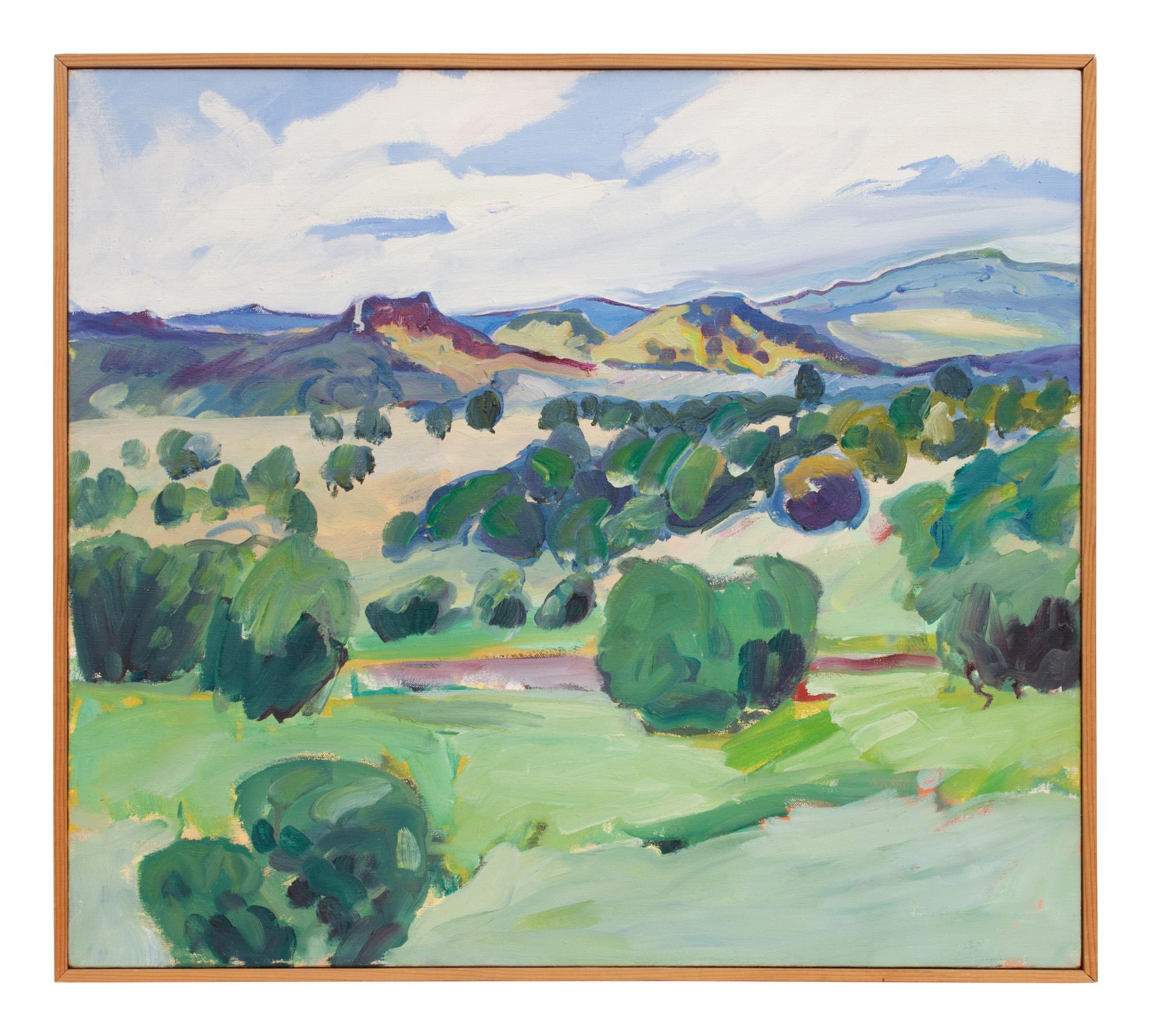 New Mexico I