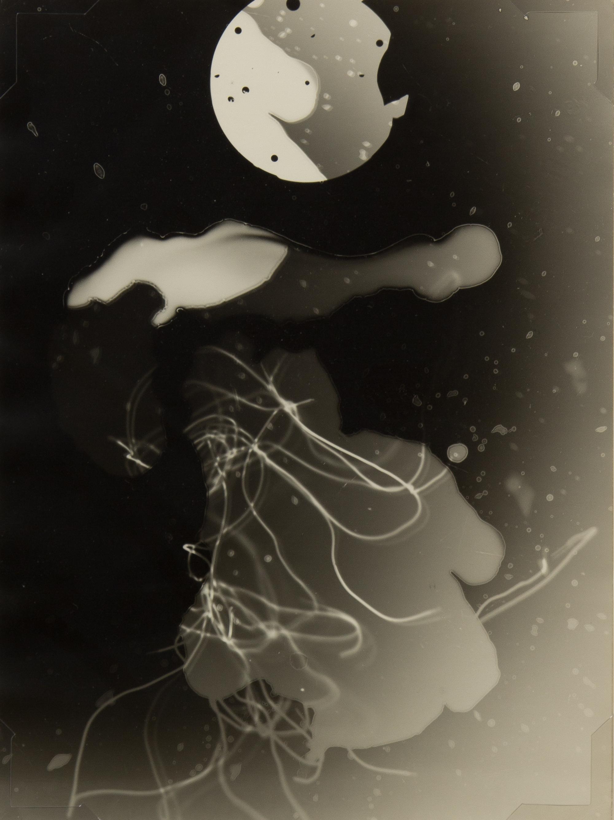 Theodore Roszak, (American/Polish. 1907-1981), Untitled (Photogram)