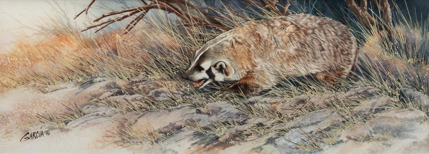 Badger