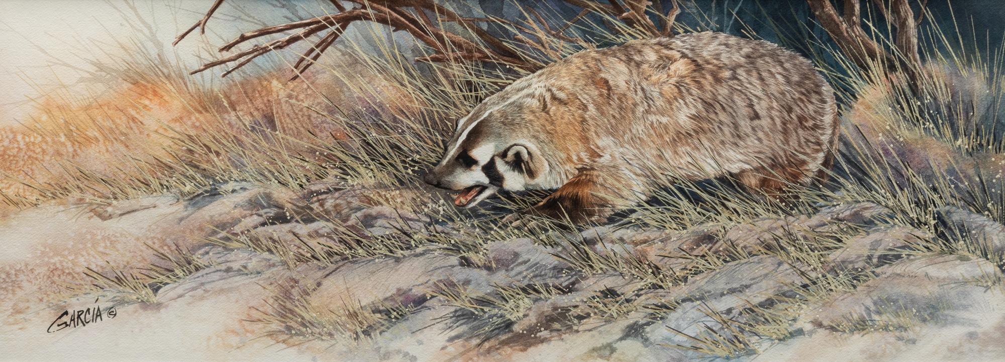 Badger