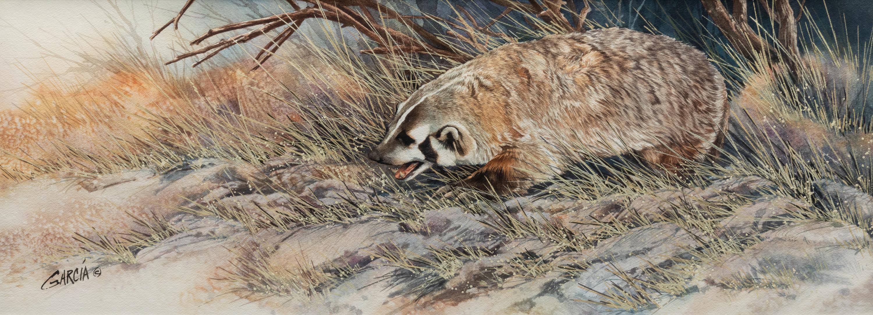Badger
