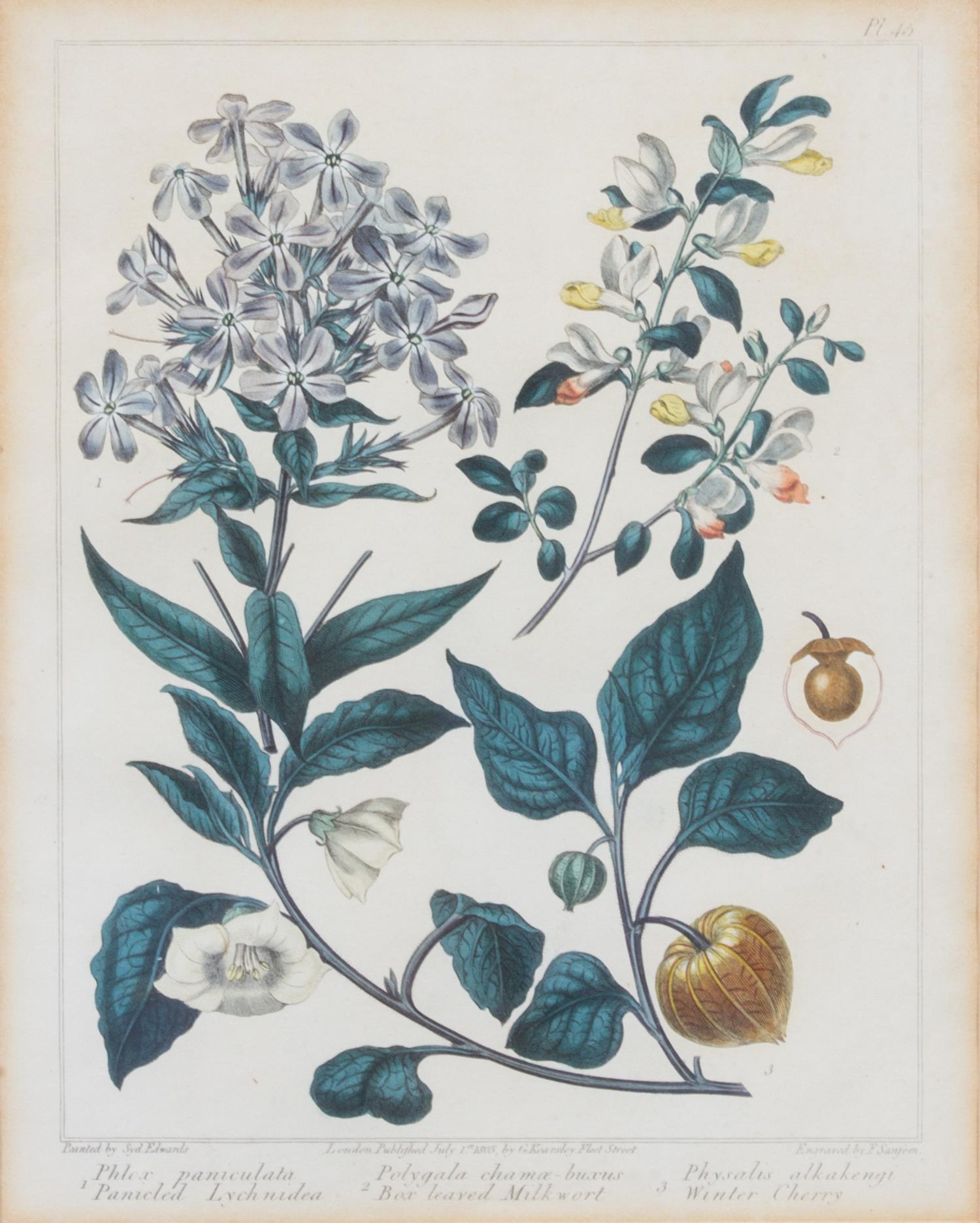A Group of Six Botanical Color Prints 9 1/2 x 7 3/4 inches. — 20TH CENTURY