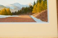 Late Afternoon Light on the Road to Bonanza (Colorado)