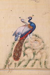 Seven Islamic Paintings