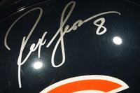 A Group of Chicago Bears Signed Items Including Dick Butkus, Gale Sayers and Brian Urlacher,