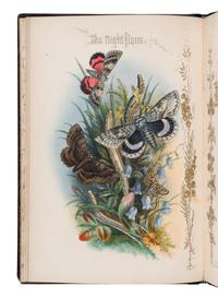 [NATURAL HISTORY]. JERRARD, Paul. The Night Flyers . A Series of Moth-Pictures . London: Paul Jerrard & Son, n.d. [ca 1860].