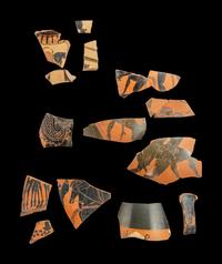 14 Attic Black-Figured Vase Fragments
