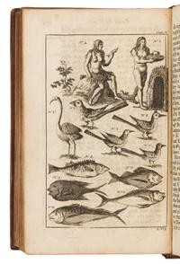 COOKE, Edward, Captain. A Voyage to the South Sea. London, 1712. FIRST EDITION.
