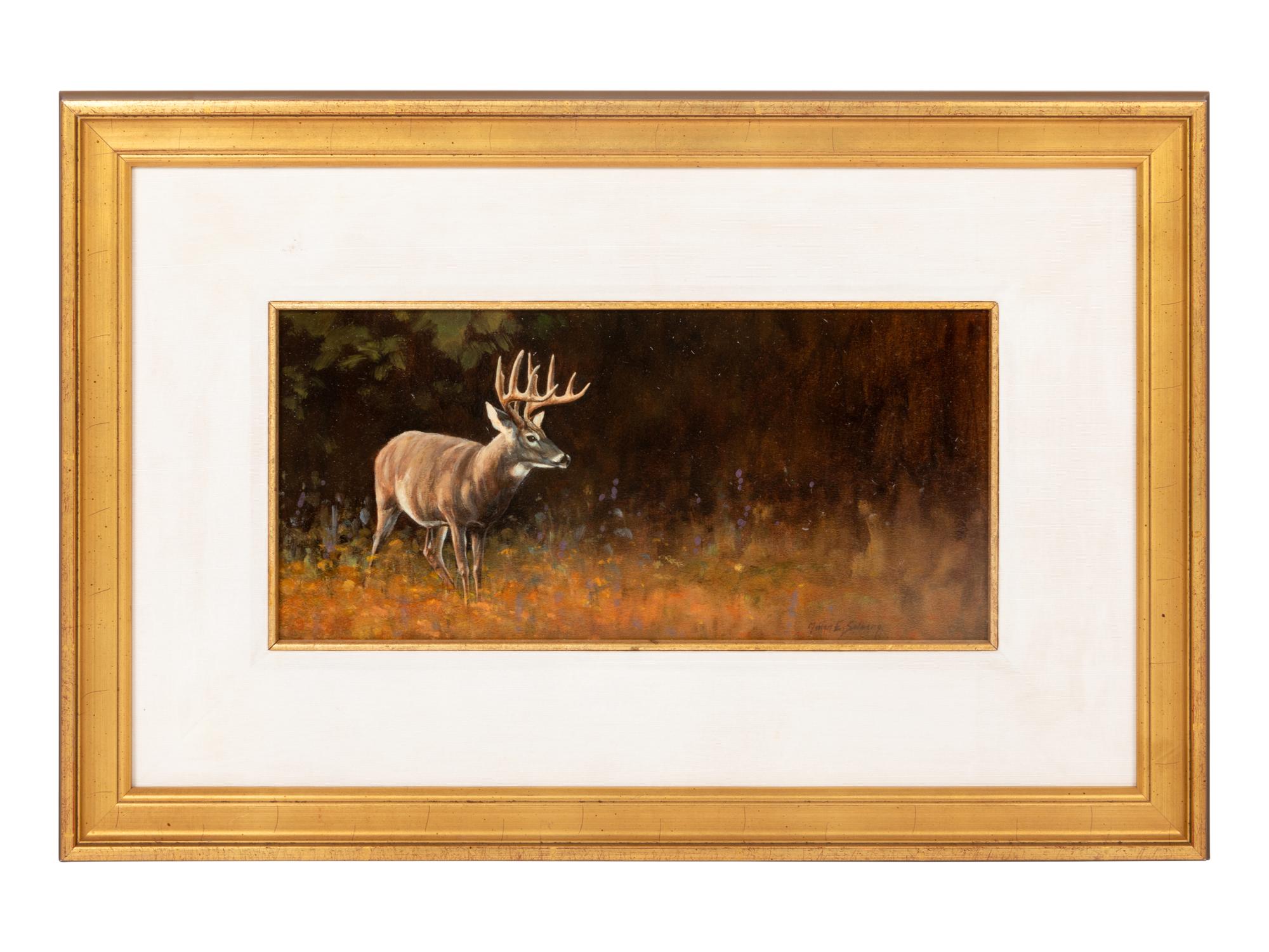 White Tailed Deer , 2007