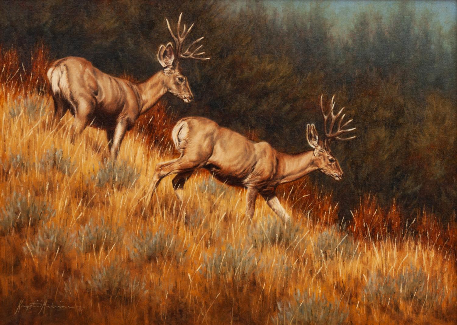 Mule Deer , 2005