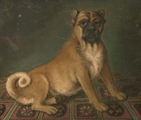 British School (19th Century)- Dog in Green Interior