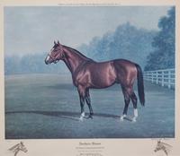 Nineteen Equestrian Prints
