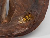 Nunivak Island Inua Mask
